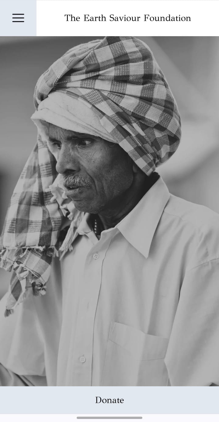 TESF NGO Website screenshot